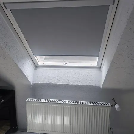 Urlaub Am Rhein Speyer Hockenheim Altlussheim